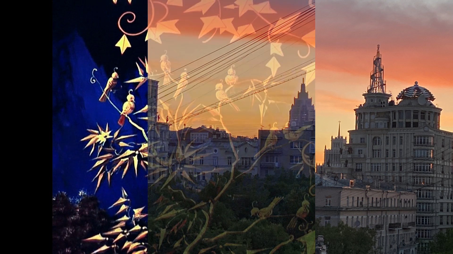 Vertical phone footage of a city skyline at sunset, overlaid with an animated fairy-tale drawing of birds and golden leaves. Anastasiia (2024) by Nickii Schamborski.