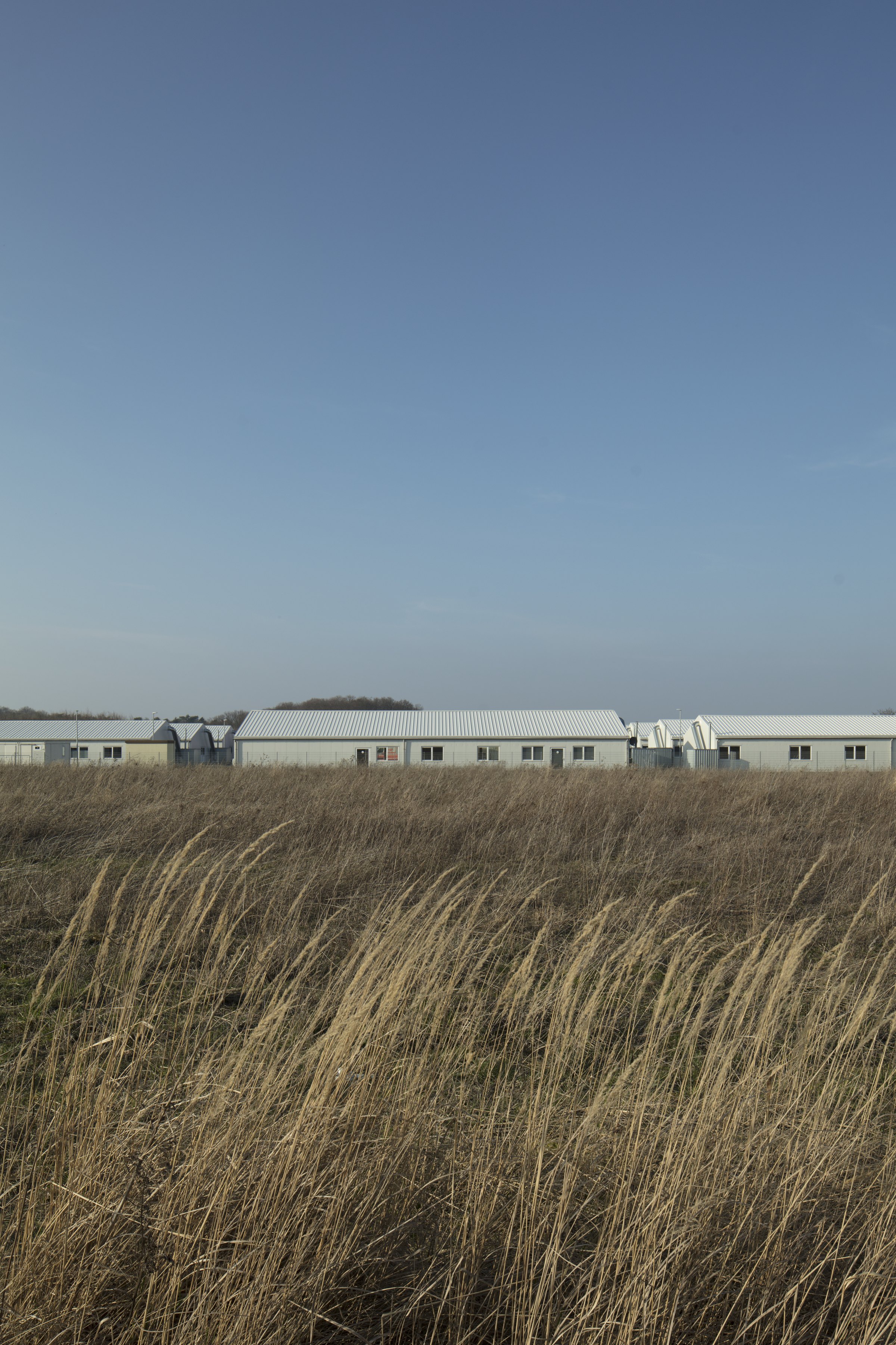 Photograph: a row of white container buildings on the horizon behind a field of tall dry grass under a blue sky. Denied Refuge / Verwehrte Zuflucht (2019) by Nickii Schamborski.